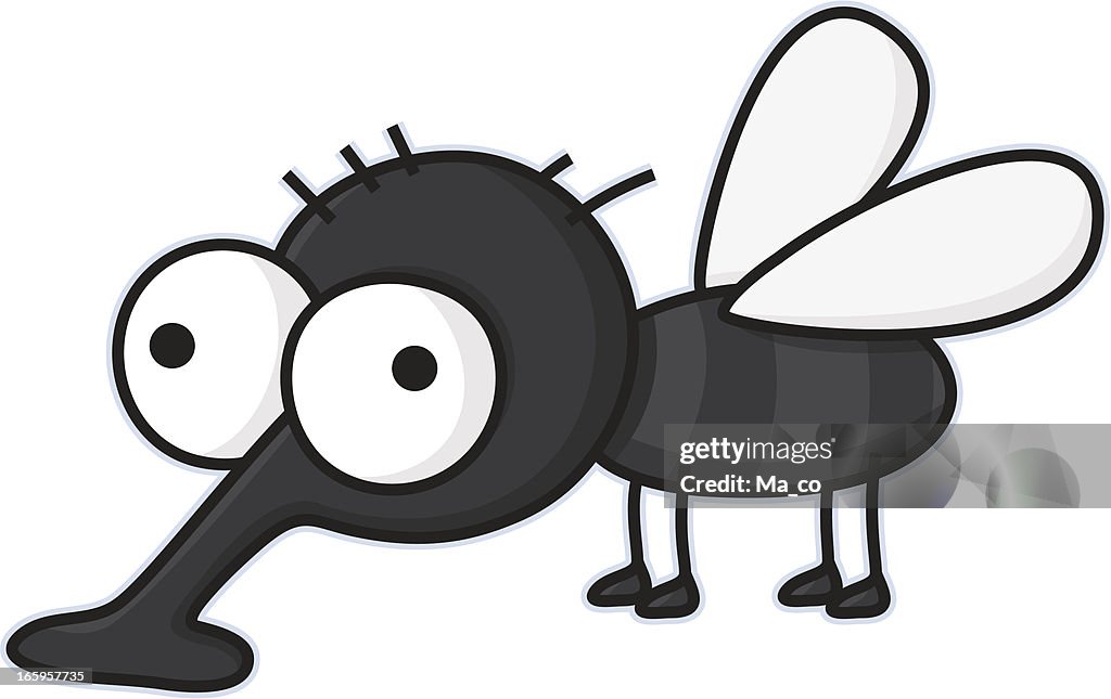 Cartoon housefly / vermin - insect