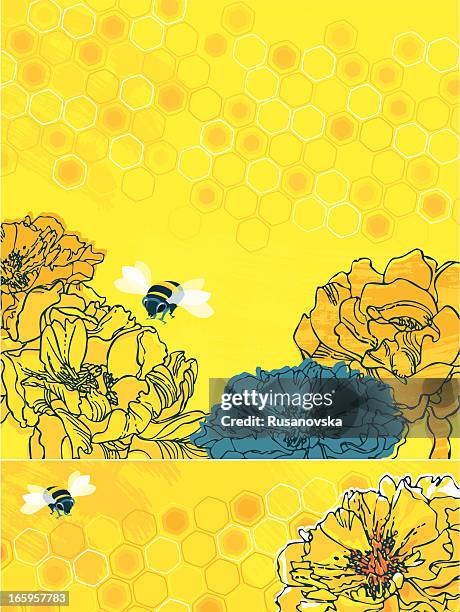 summer bees (set of banners) - bee flower stock illustrations