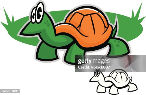 Big Eyed Turtle High-Res Vector Graphic - Getty Images