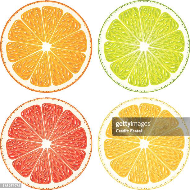 stockillustraties, clipart, cartoons en iconen met citrus slices - bloedsinaasappel