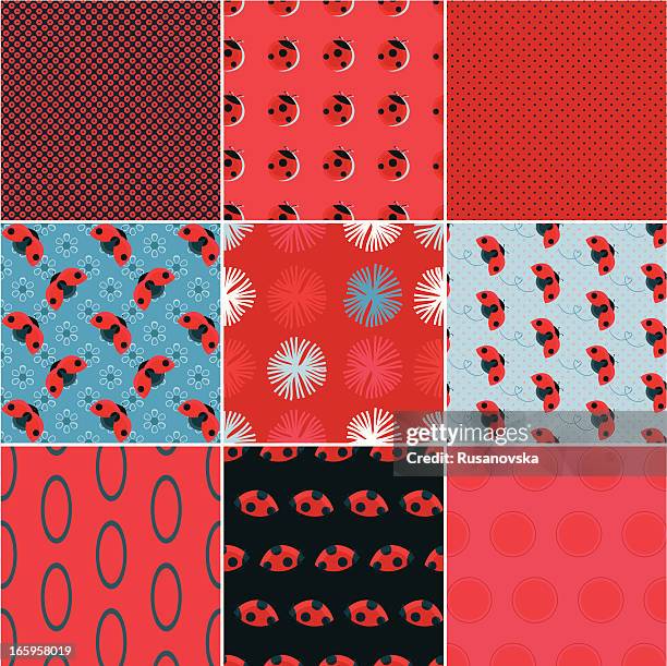 Ladybug Shell Pattern Ladybug Reproduction Photos and Premium High Res Pictures - Getty Images