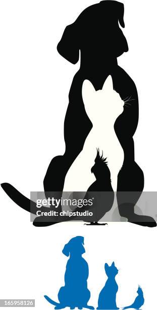 pet silhouette - cat sitting stock illustrations