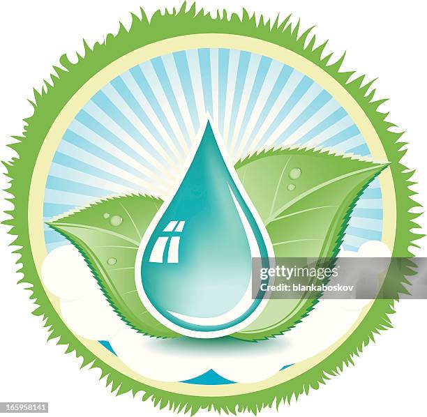 divine elements - water droplets on leaf stock illustrations