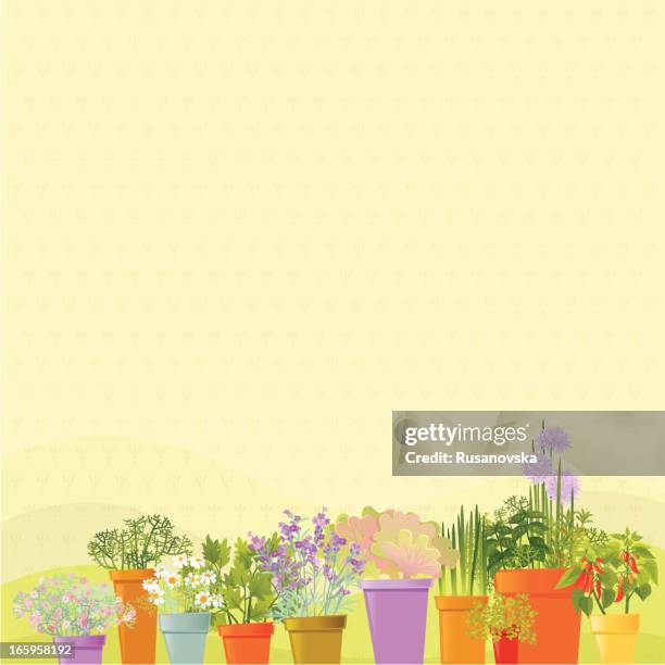 ilustrações, clipart, desenhos animados e ícones de casa garden fundo - tomilho