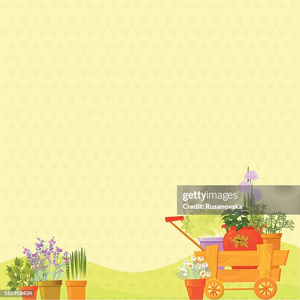 herb background - lavender fields stock illustrations