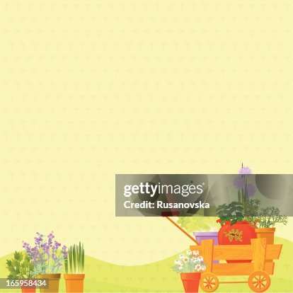 Herb Background Herb Background