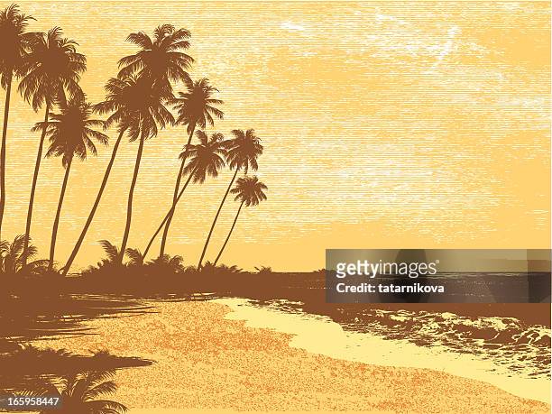 postcard, palms, sea - postcards stock illustrations