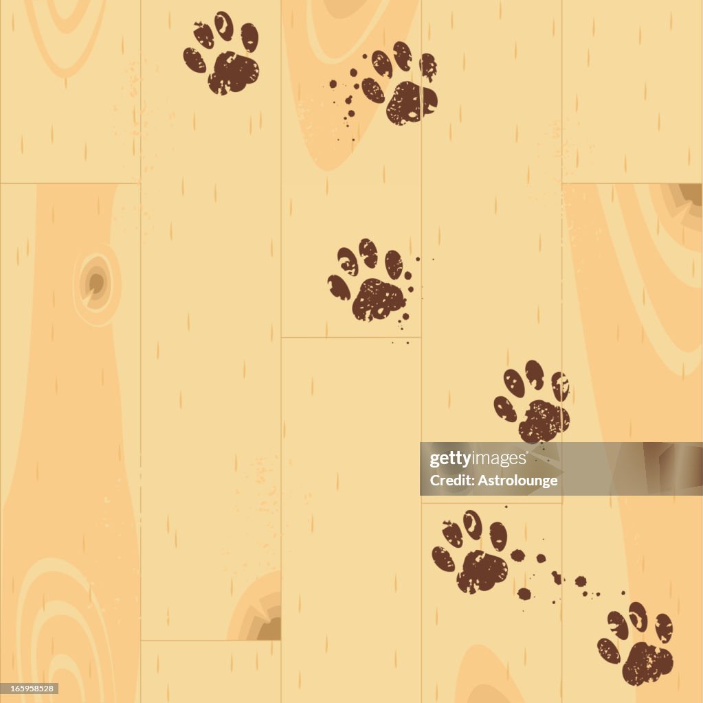 Paw tracks