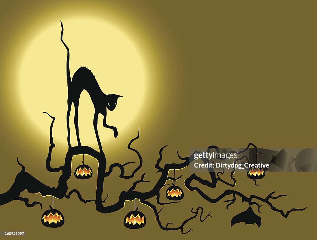 Black Cat in the pumpkin tree