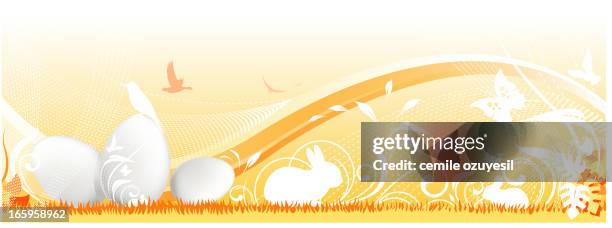 easter backround - easter egg white background stock illustrations