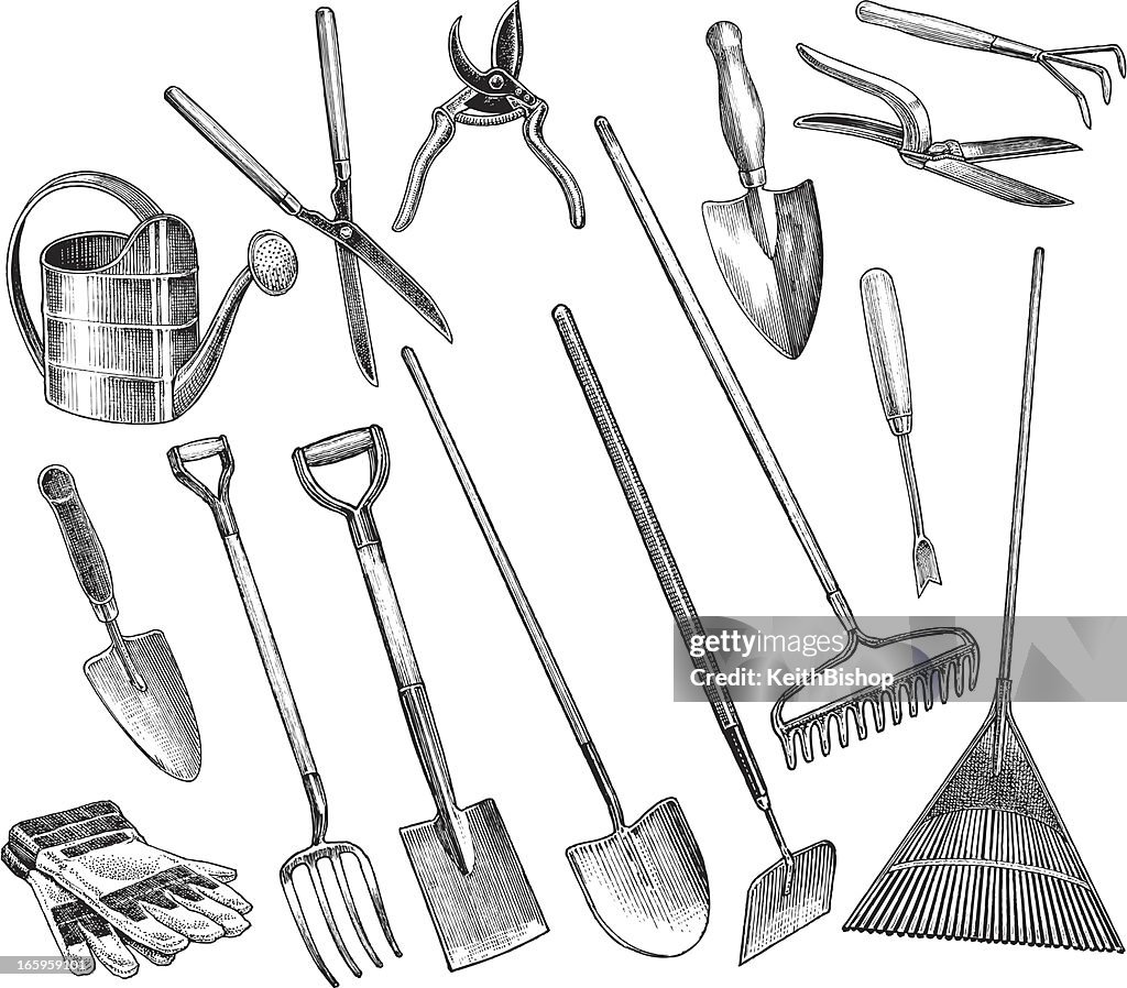 Ferramentas de jardim-Spade, enxada, Espátula, Pá