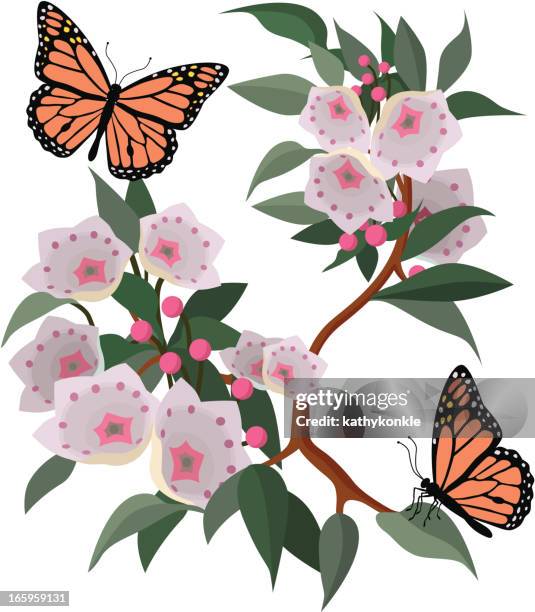 Mountain Laurel And Monarch Butterflies, Stockfoto