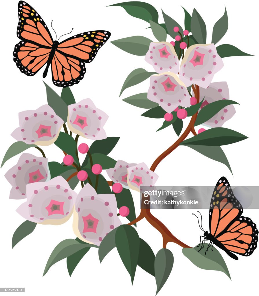 Mountain laurel and monarch butterflies