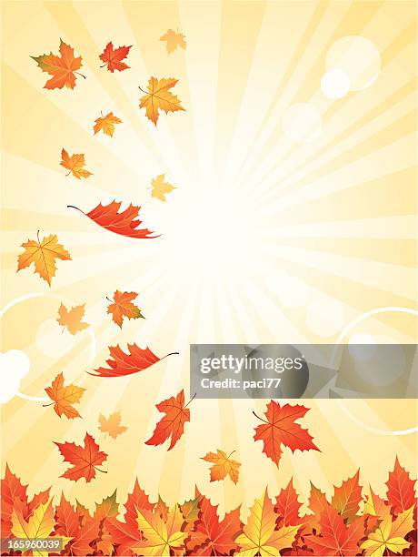 ilustraciones, imágenes clip art, dibujos animados e iconos de stock de caída de las hojas de vector - erupción solar