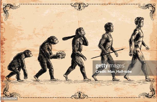 illustrazioni stock, clip art, cartoni animati e icone di tendenza di vettore di concetto di evoluzione umana - evoluzione darwin