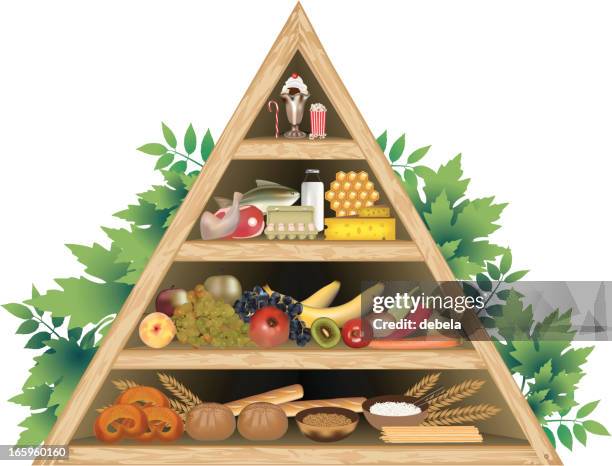food pyramid diet - brown rice stock illustrations