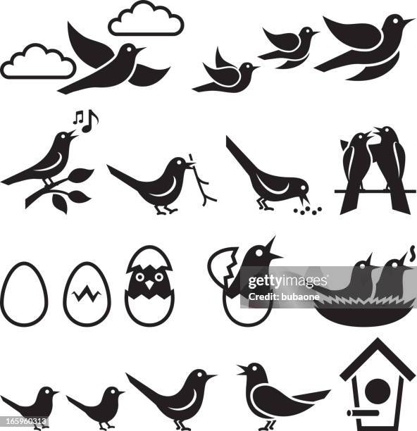 ilustraciones, imágenes clip art, dibujos animados e iconos de stock de pájaro blanco y negro sin royalties de conjunto de iconos vectoriales - boca de animal