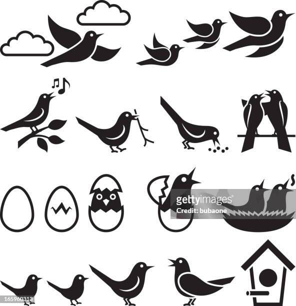 birds black and white royalty free vector icon set - and nest stock illustrations