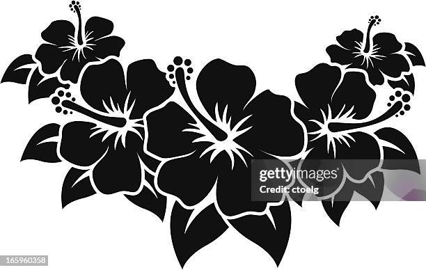 hibiscus - hibiscus flower stock-grafiken, -clipart, -cartoons und -symbole