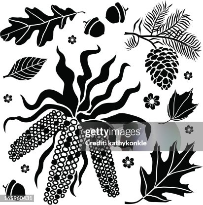 Autumn corn Autumn corn