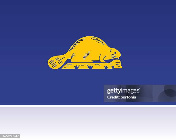 illustrations, cliparts, dessins animés et icônes de drapeau des états américains: l'oregon - beaver