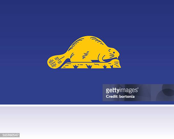 ilustrações de stock, clip art, desenhos animados e ícones de bandeira estatal americana: oregon - castor
