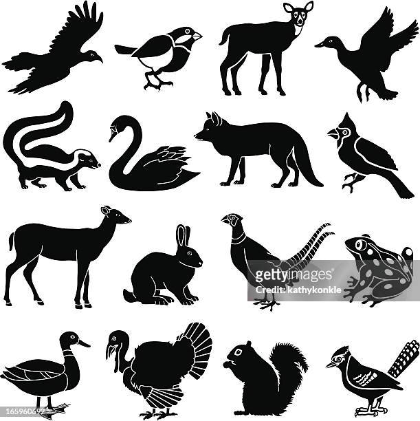 ilustraciones, imágenes clip art, dibujos animados e iconos de stock de north american animales - faisán ave de caza
