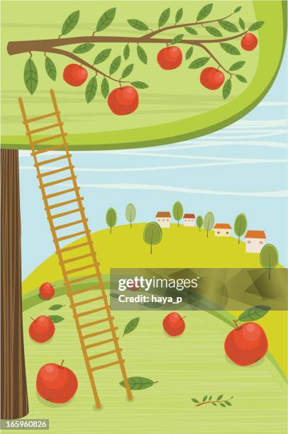 landscape with apple tree - orchard landscape stock illustrations