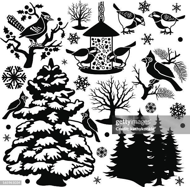 winter birds design elements - chickadee stock illustrations