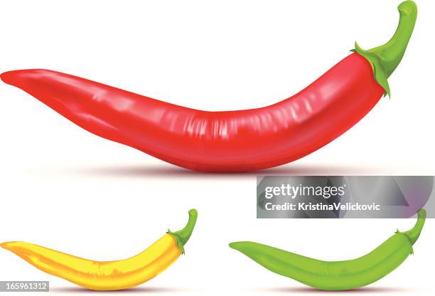 chili peppers - chili schote stock-grafiken, -clipart, -cartoons und -symbole