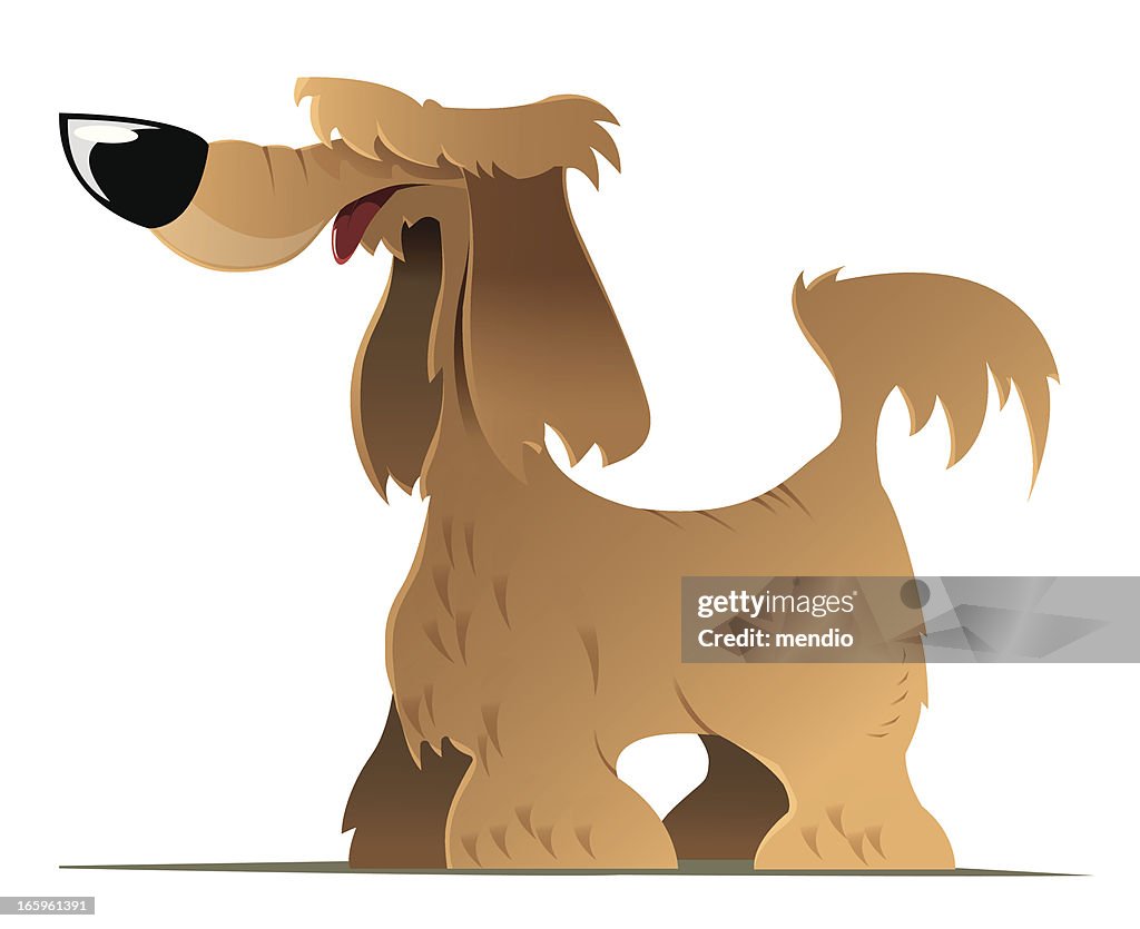 Sreet Dog