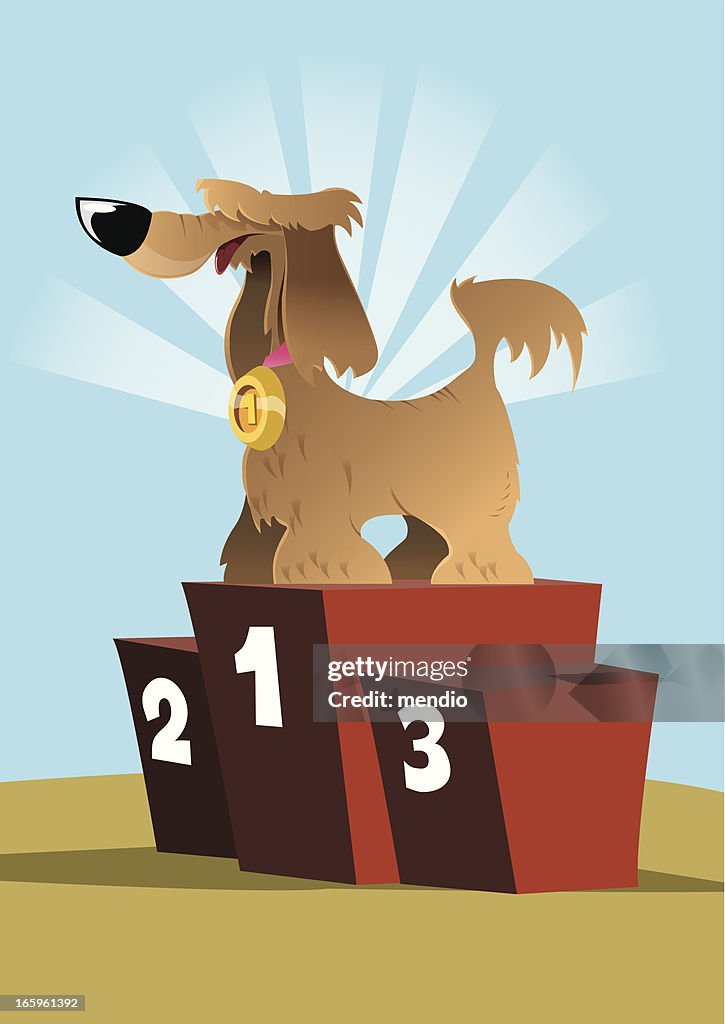 Number one dog