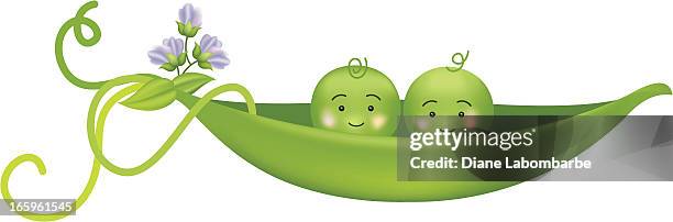 two peas in a pod vector illustration - 2 peas in a pod stock illustrations