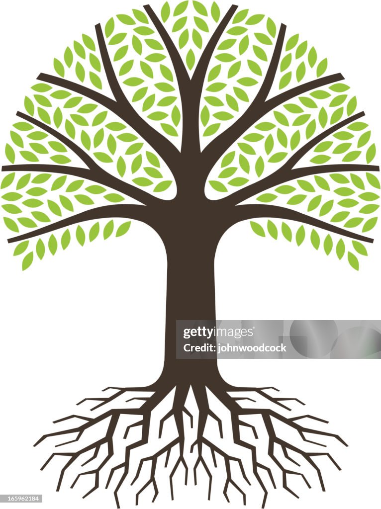 Simple Round Tree With Roots High-Res Vector Graphic - Getty Images