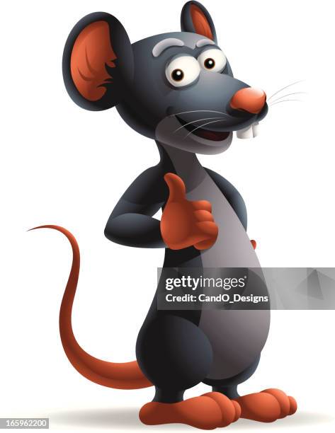 mouse: thumbs up! - dormouse stock illustrations