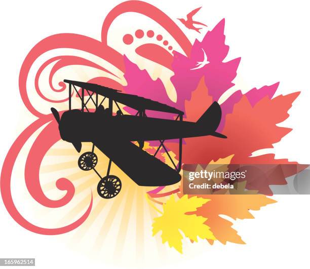 fashion airplane - biplane stock illustrations