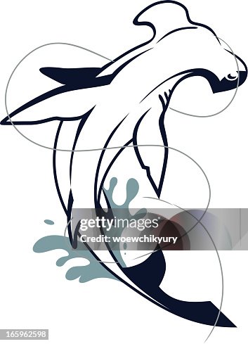 Hammerhead Shark Hammerhead Shark