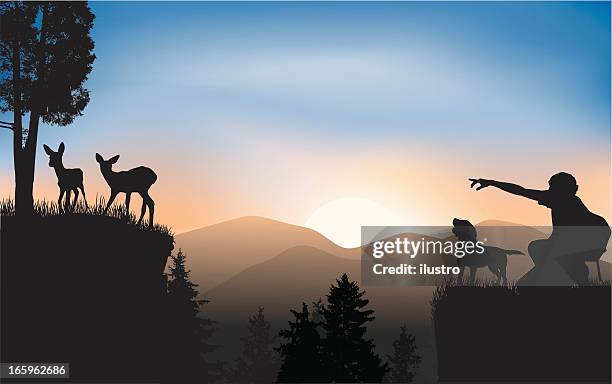 wildlife watching - forest morning light stock illustrations