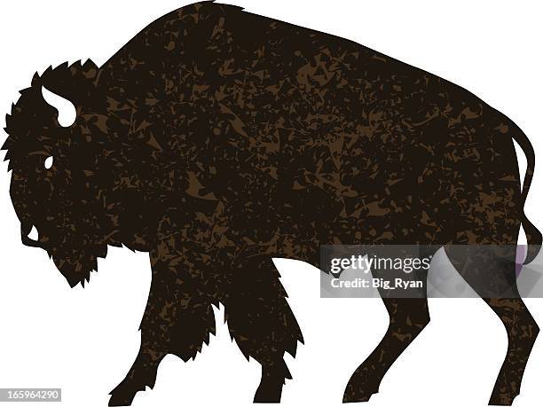 buffalo - african buffalo stock illustrations