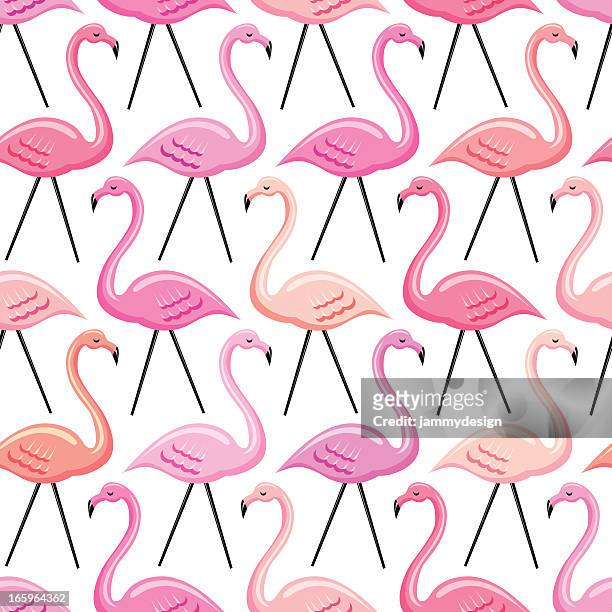 flamingo nahtlose muster - flamingos stock-grafiken, -clipart, -cartoons und -symbole