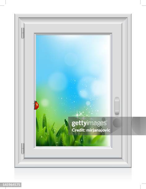 ilustraciones, imágenes clip art, dibujos animados e iconos de stock de mariquita de ventana - pestillo de ventana