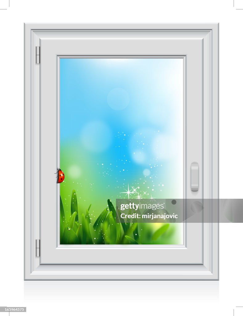 Ladybug on window