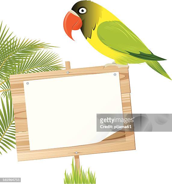 parrot - small placard stock illustrations