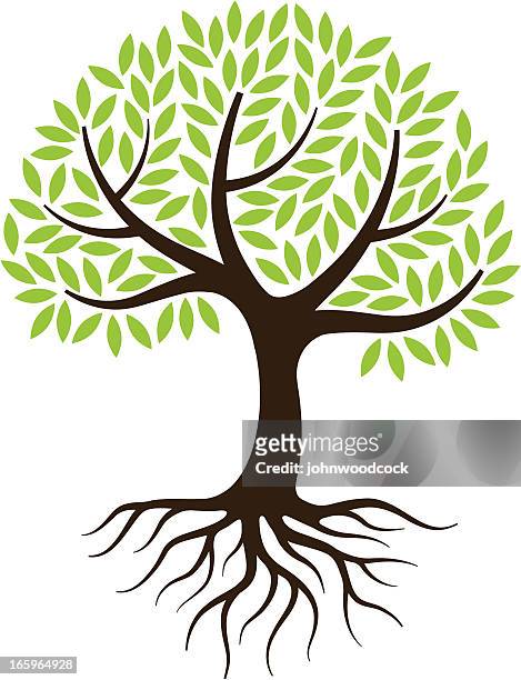 illustrazioni stock, clip art, cartoni animati e icone di tendenza di piccolo illustrazione di albero con radici. - albero