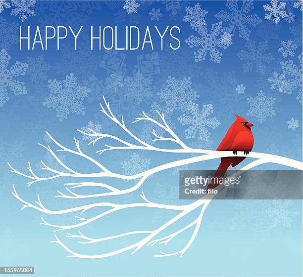 ilustrações de stock, clip art, desenhos animados e ícones de feliz fundo de férias cardeal - blue cardinal bird