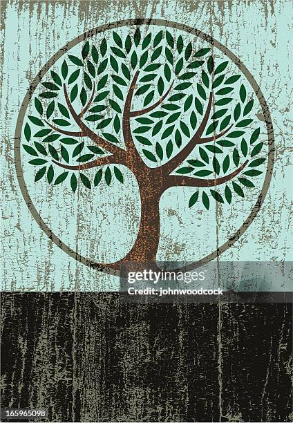 peeling paint tree circle - exfoliating texture stock illustrations
