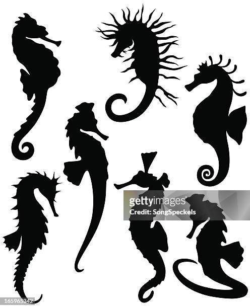sea horse silhouettes - sea horse stock illustrations