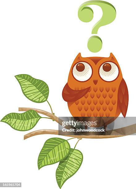 question mark owl - confused animal stock illustrations