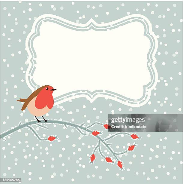 Robin Frame Photos and Premium High Res Pictures - Getty Images