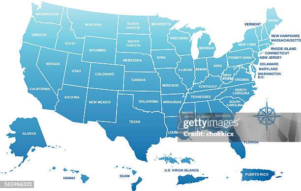 usa map with its territories - us map stock illustrations